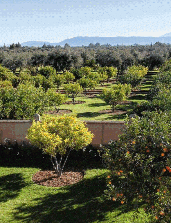 Notre Domaine Agricole<br>Un Engagement pour l'Avenir Durable