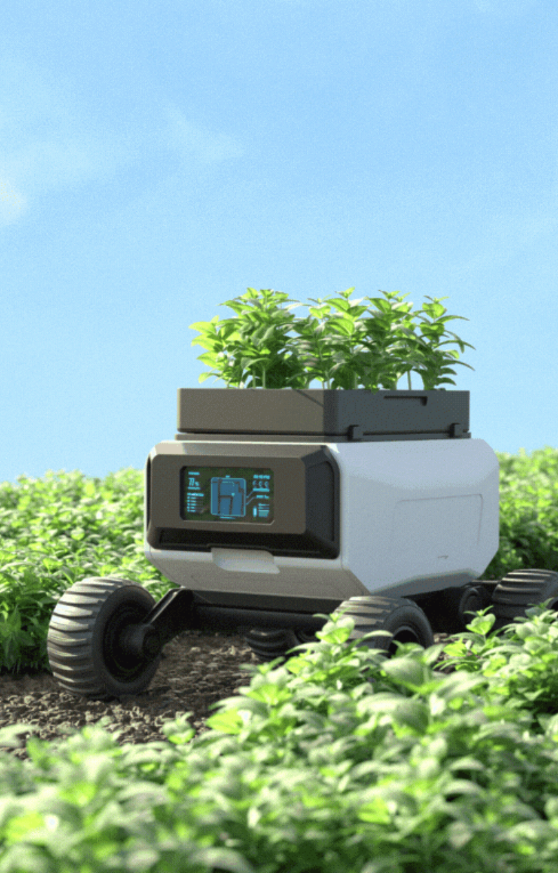 Agriculture biologique